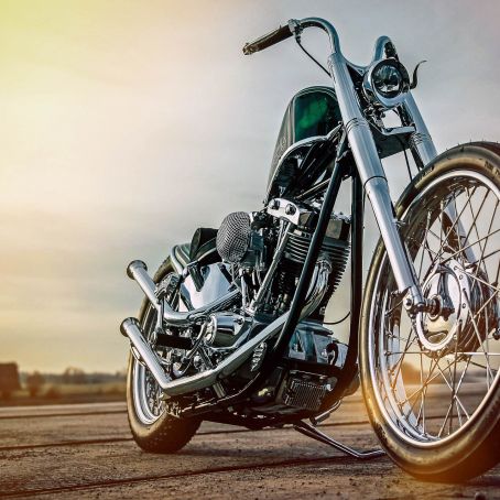 Thunderbike Harley Davidson Glamor Shovelhead Chopper Hafen Shoot Custombike Foto Ben Ott 1